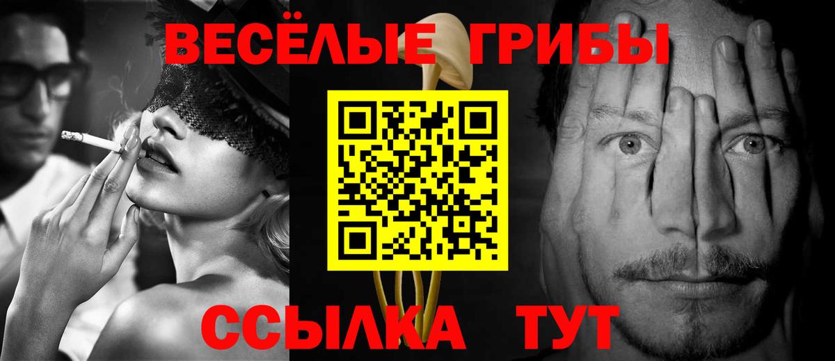 Нижнеудинск  Псилоцибиновые грибы мухоморы  Вход с VPN 